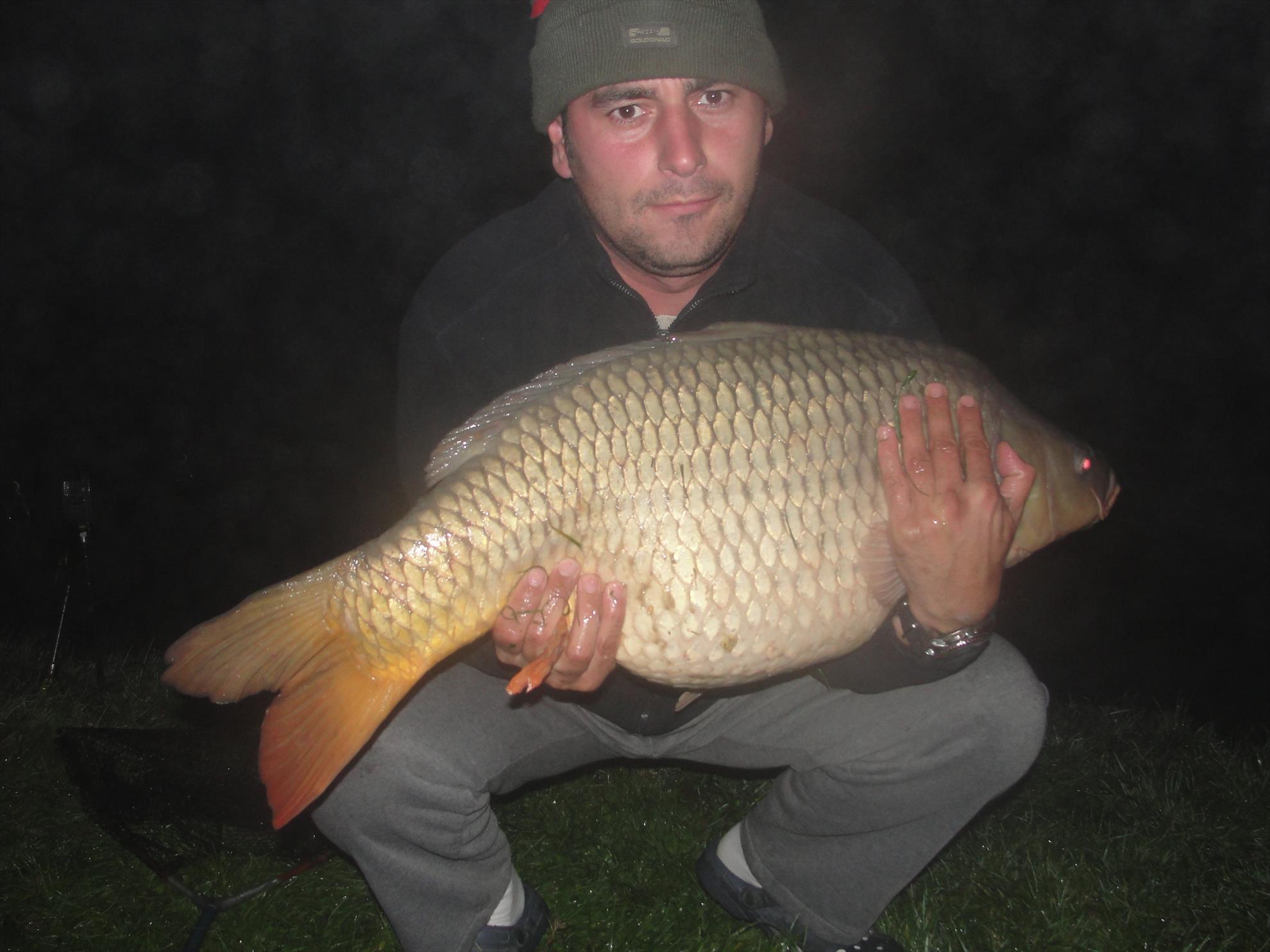 Moara Vlasiei  - dsc00764.JPG